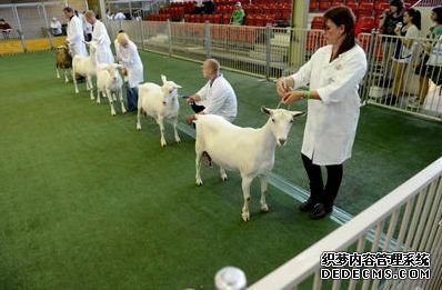 细腻2.jpg