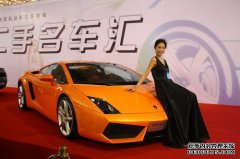 2011年廊坊（春季）汽车展精彩图片